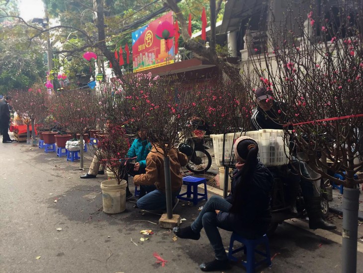 Hanoi welcomes the spring - ảnh 3